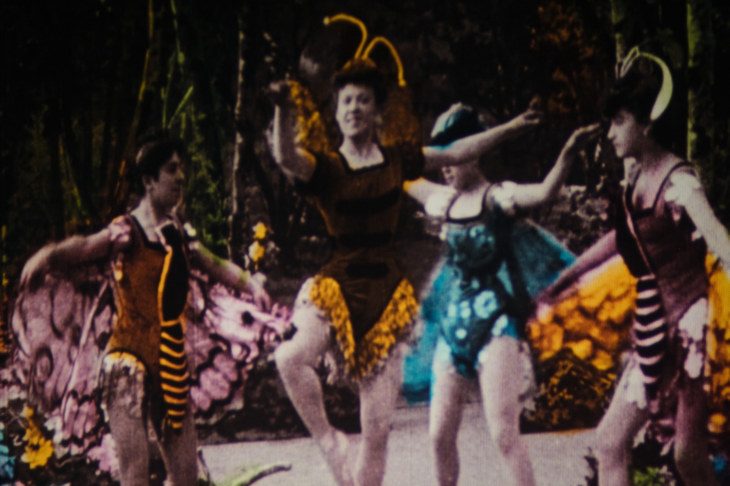 Visuel de l'écran pendant la Soirée de Clôture 