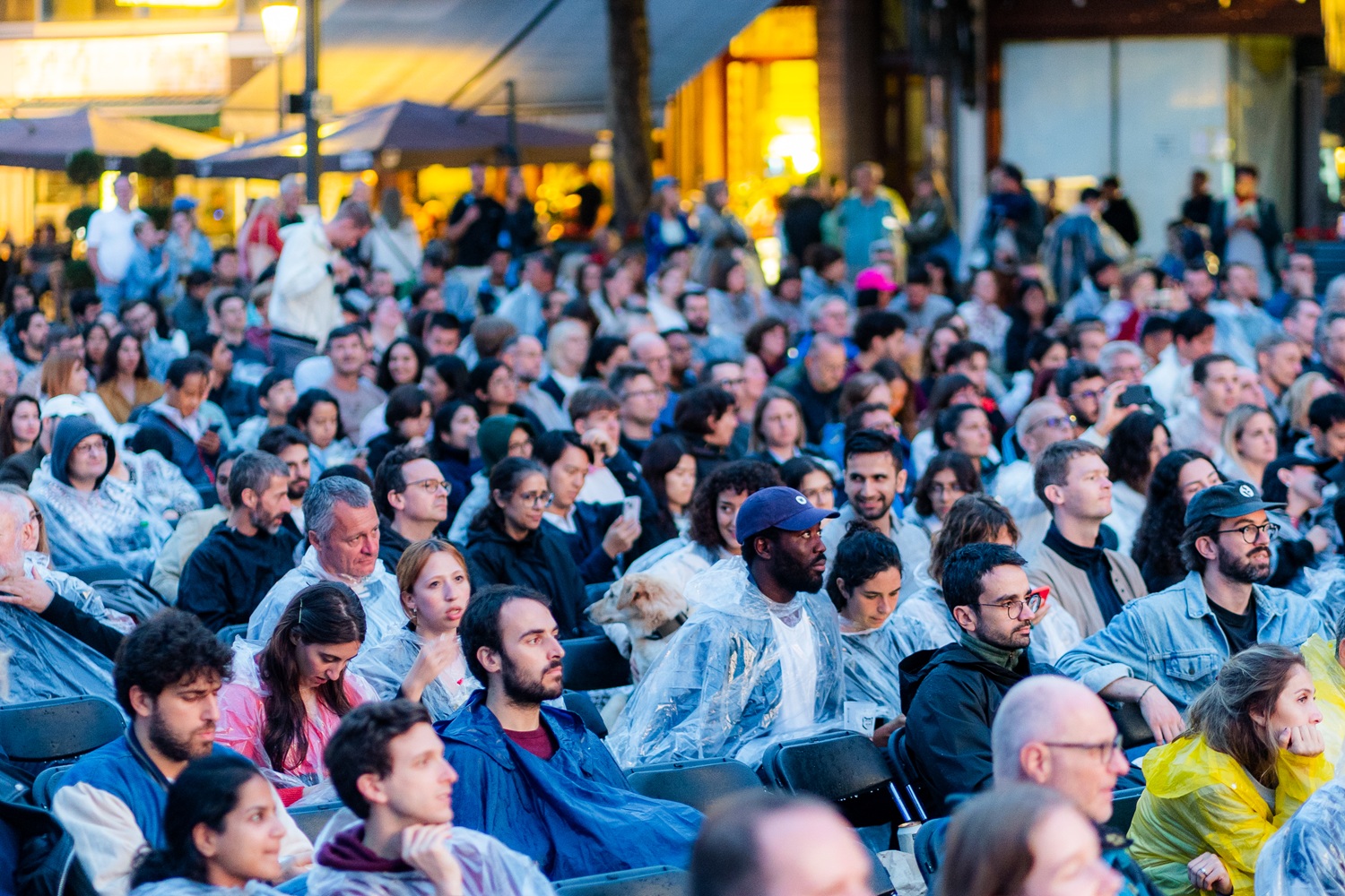 Photo du City Open Air Cinema lors de la séance Big Lebowski