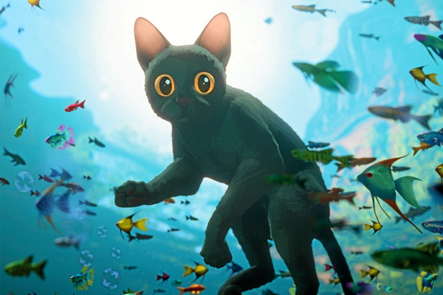 Visuel du chat de Flow sous l'eau