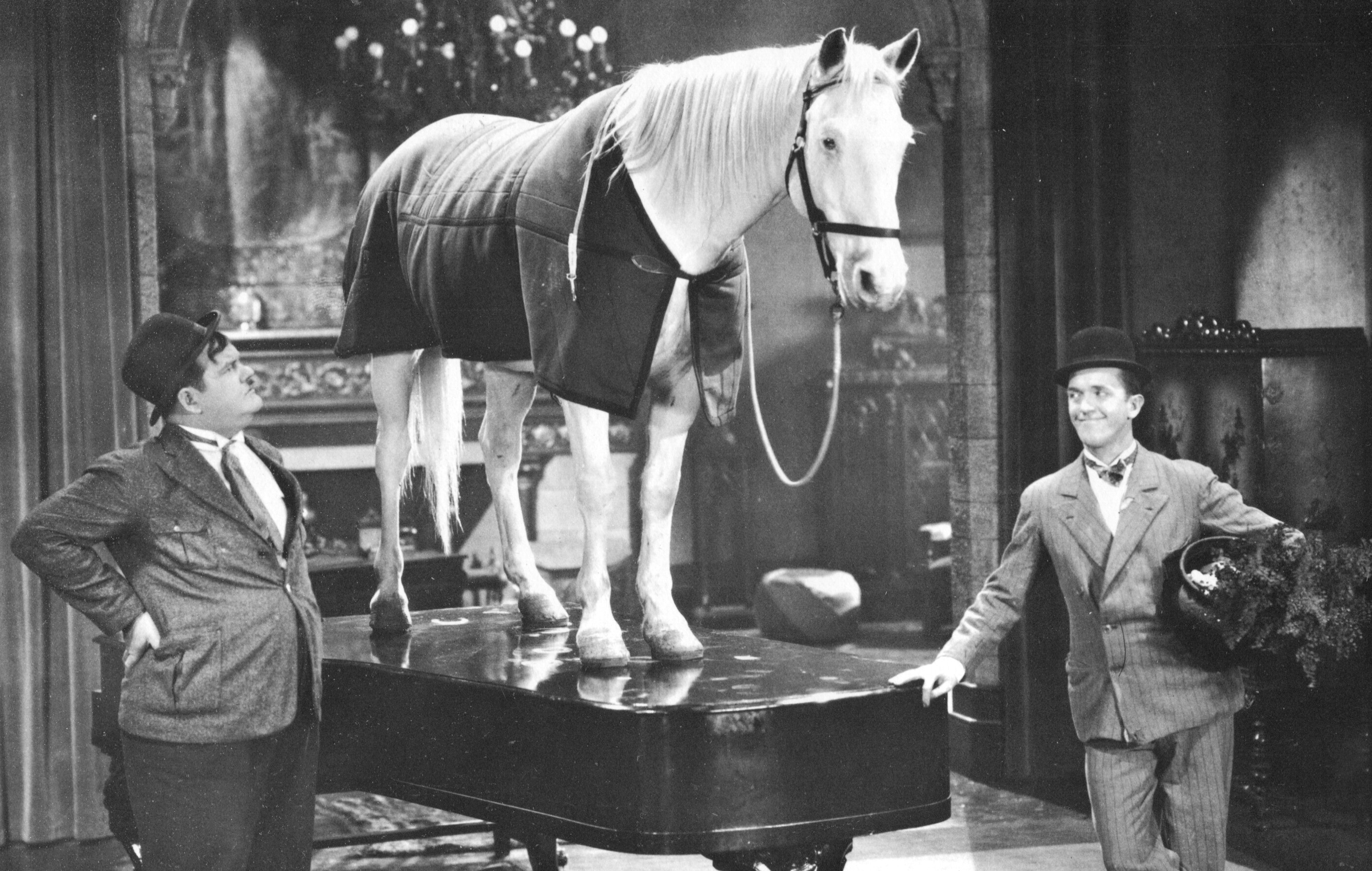 Visuel : Wrong Again