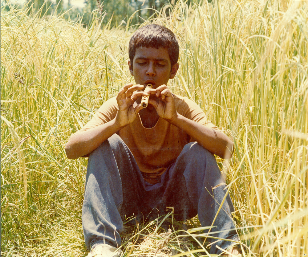 Visuel : Bashu, the Little Stranger