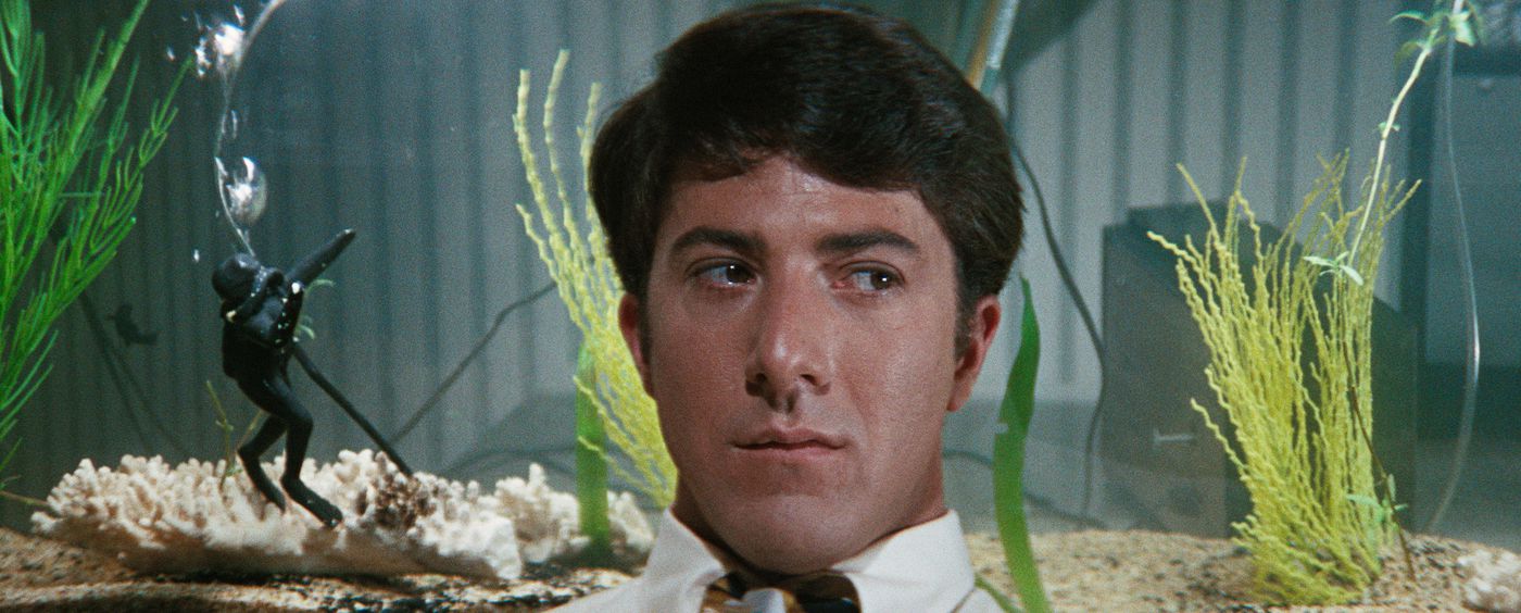 The Graduate