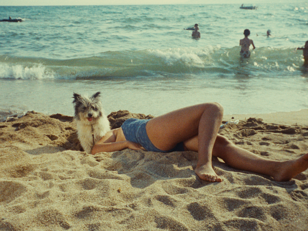 Du côté de la côte