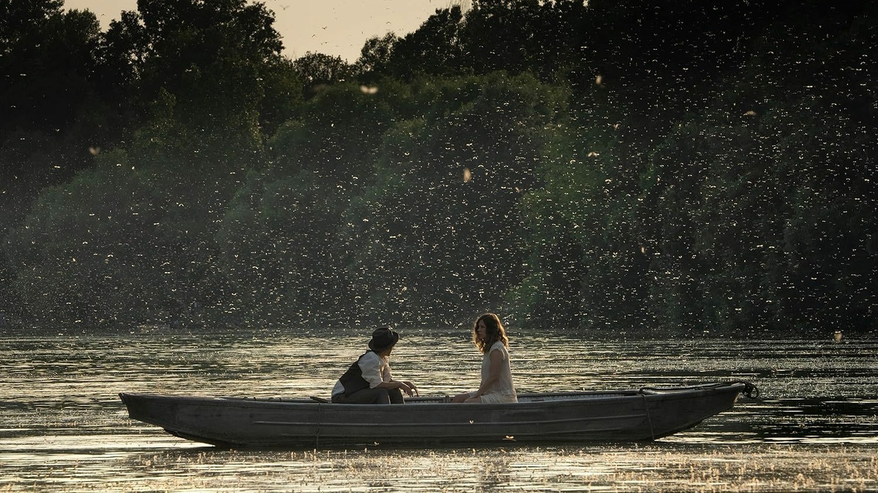 Visuel de : Mayflies